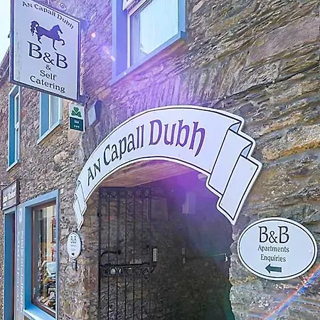 An Capall Dubh Dingle