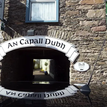 An Capall Dubh Couette-café Dingle