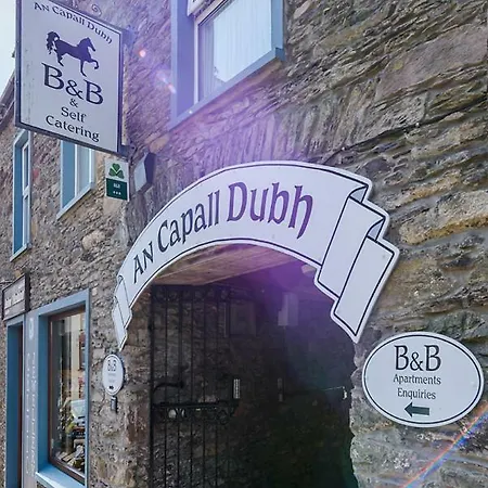 An Capall Dubh 3* Dingle