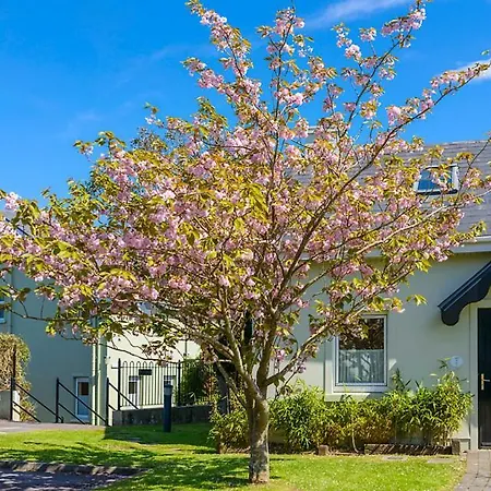 An Capall Dubh לינה וארוחת בוקר