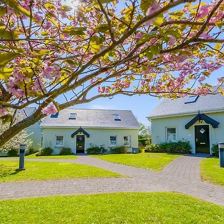 לינה וארוחת בוקר An Capall Dubh דינגל