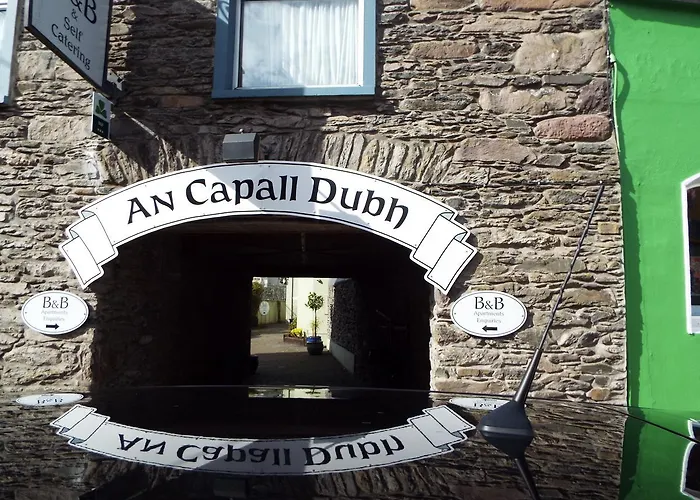An Capall Dubh Bed & Breakfast Dingle