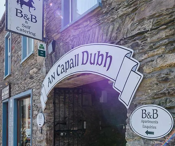 An Capall Dubh 3* Dingle