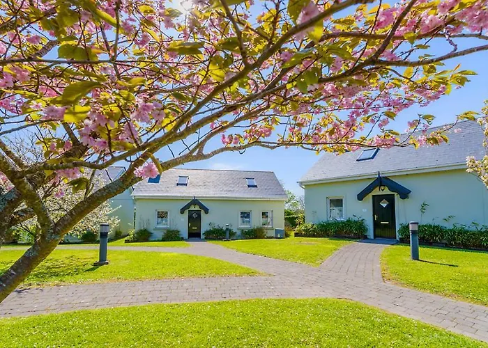 Bed & Breakfast An Capall Dubh Dingle